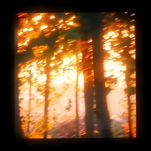 筱田优人妻欲求不满V8
